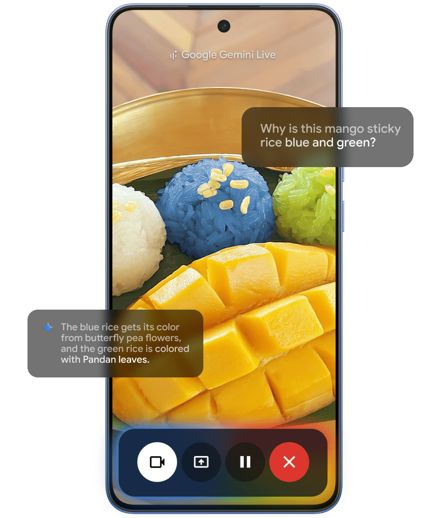 images ai Gemini 1 1 60053c